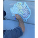 Large Removable Aussie Map Sticker + Free Shipping - AMD Touring