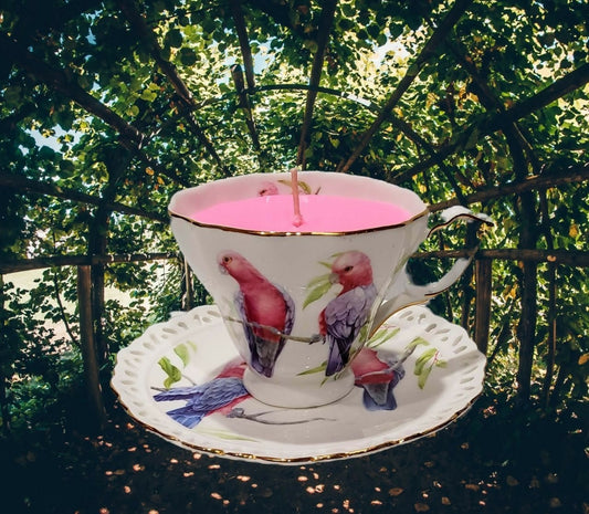 Teacup Candle - Candle in a Teacup - Soy Candle -Australian Birds - Linden Blossom Fragrance - AMD Touring