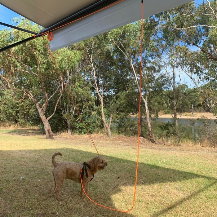 Zippet orginal pet restraint - AMD Touring