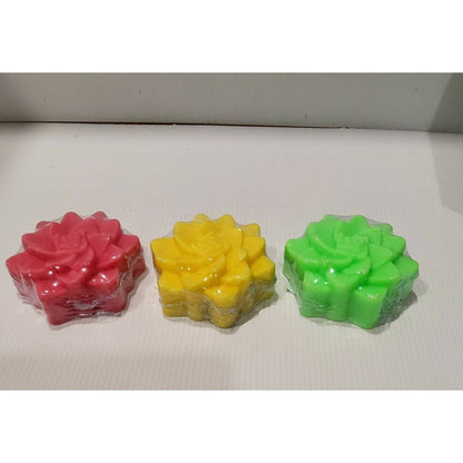 Handmade Soap - Succulents - Fruit Fragrance - Gift Box - 3 x Soaps- No Palm Oil - Vegan Friendly - Free Shipping - AMD Touring