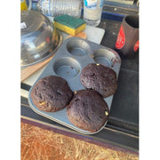 Large 12v Travel Buddy oven - AMD Touring