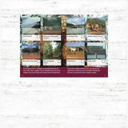 Spotto Books - Queensland - AMD Touring