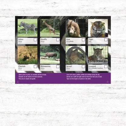Spotto Books - Zoo - AMD Touring